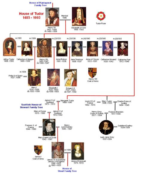 kings and queens in tudor times|are there any tudor descendants living today.